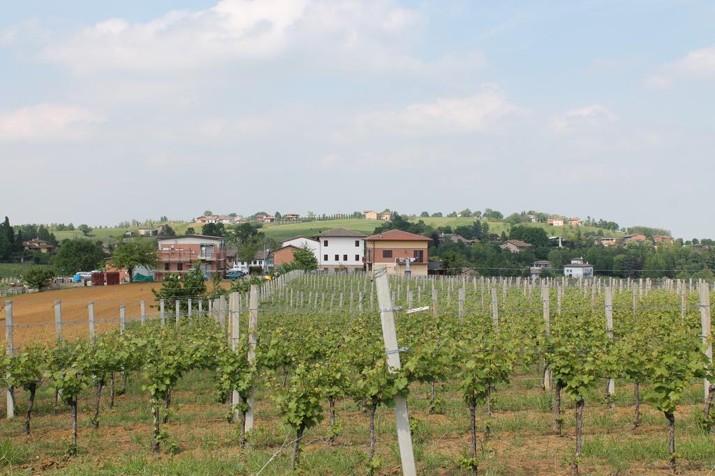 Agriturismo Le Casette Castelvetro di Modena Dış mekan fotoğraf