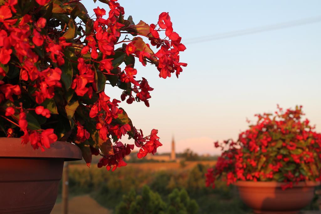 Agriturismo Le Casette Castelvetro di Modena Dış mekan fotoğraf