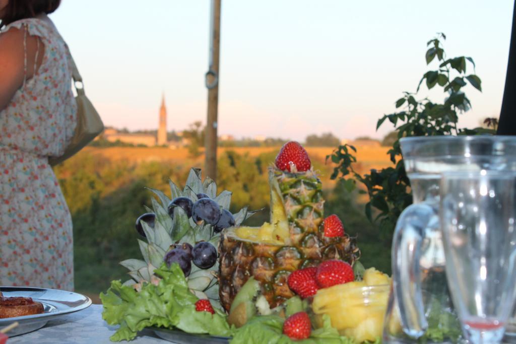 Agriturismo Le Casette Castelvetro di Modena Dış mekan fotoğraf